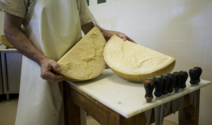 Parmigiano Reggiano cheese factory Tour and Tasting